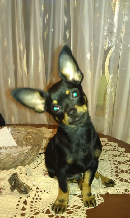 IMAG0119.jpg
