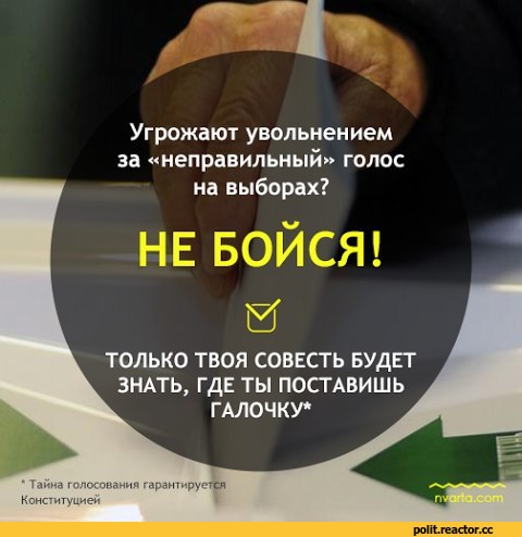 Сало-с-№востями-разное-Россия-Швеция-1621751.jpeg