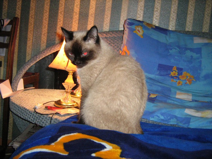 IMG_0774.jpg