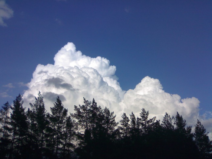 19072012620.jpg