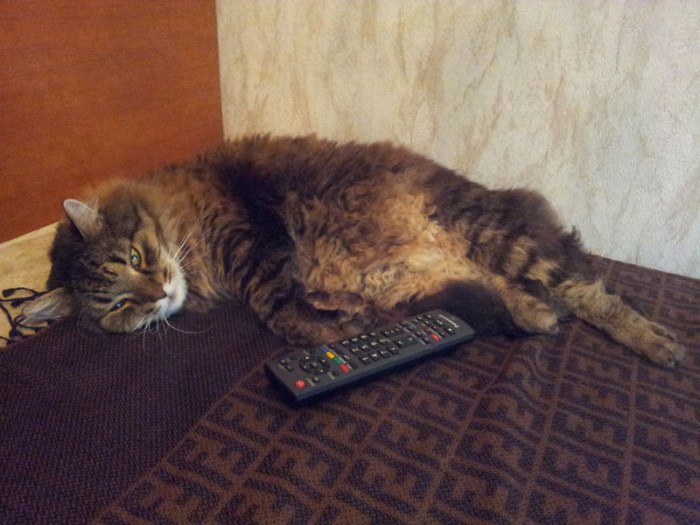 20130630_154252.jpg