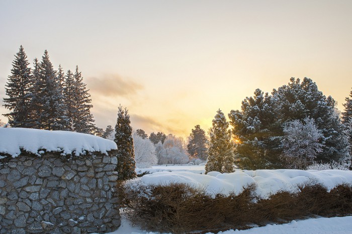 _DSC0868_1.jpg
