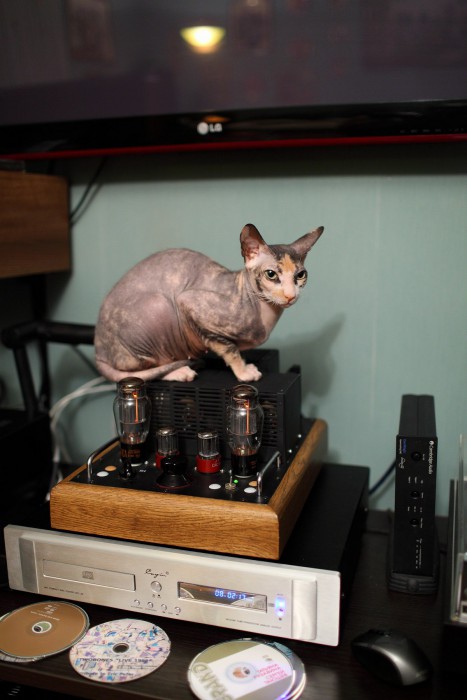 sized_IMG_1129.JPG