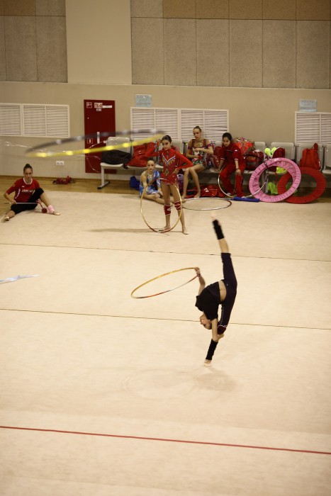 sized_IMG_2483.JPG