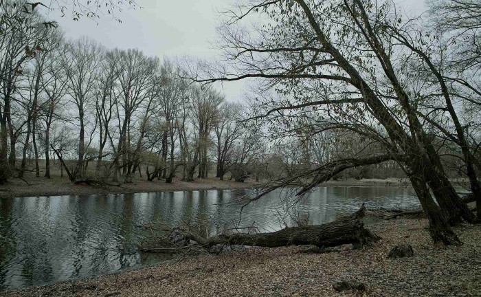 sized_SDIM4892.JPG