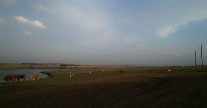 sized_SDIM5159.JPG