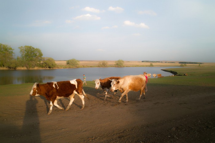 sized_SDIM5163.JPG