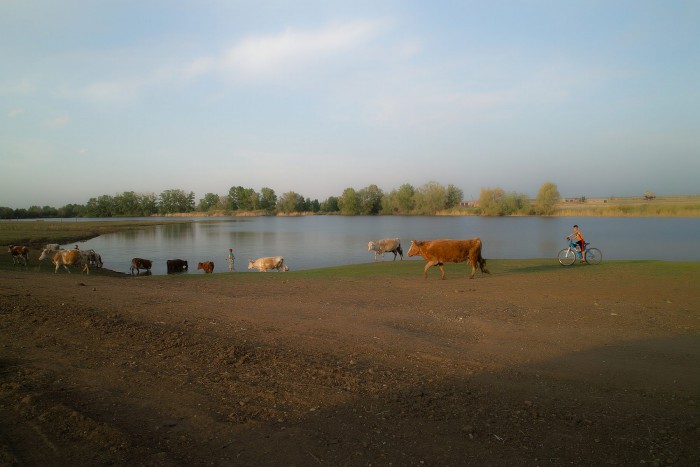 sized_SDIM5166.JPG