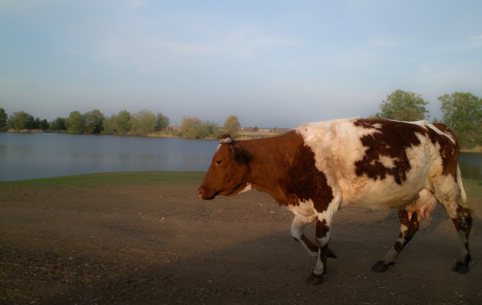 sized_SDIM5168.JPG