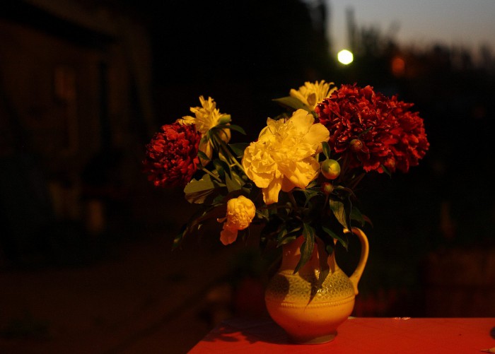 sized_IMG_7793.JPG