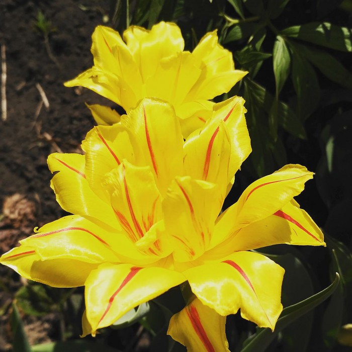 2017-05-20 13-11-03.JPG