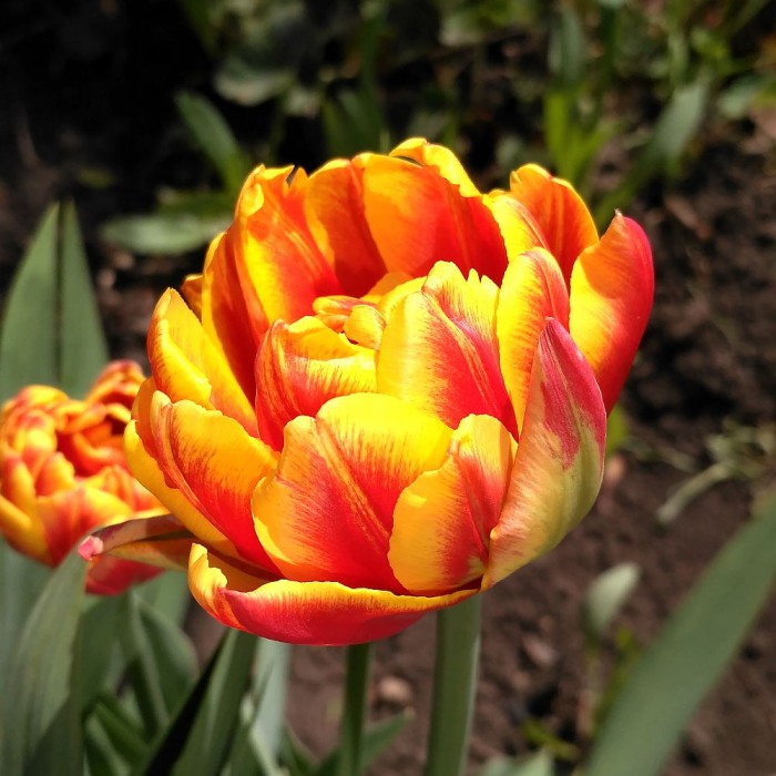 2017-05-20 13-12-12.JPG