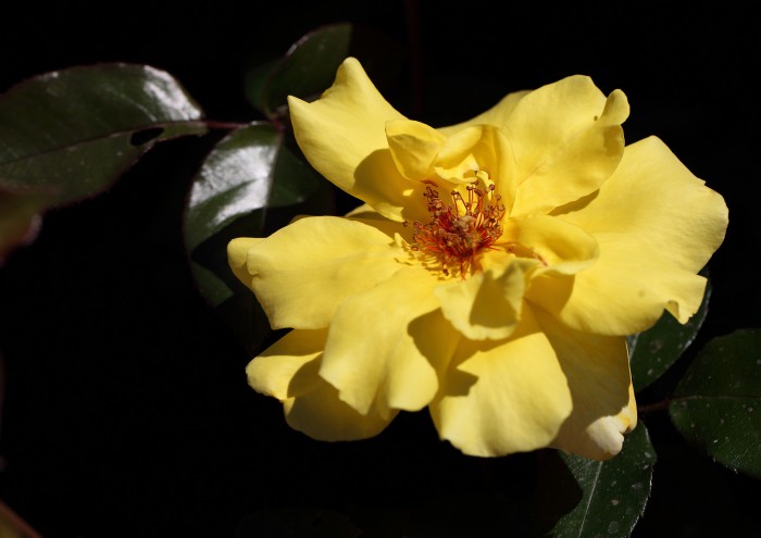 sized_DPP_0637.JPG