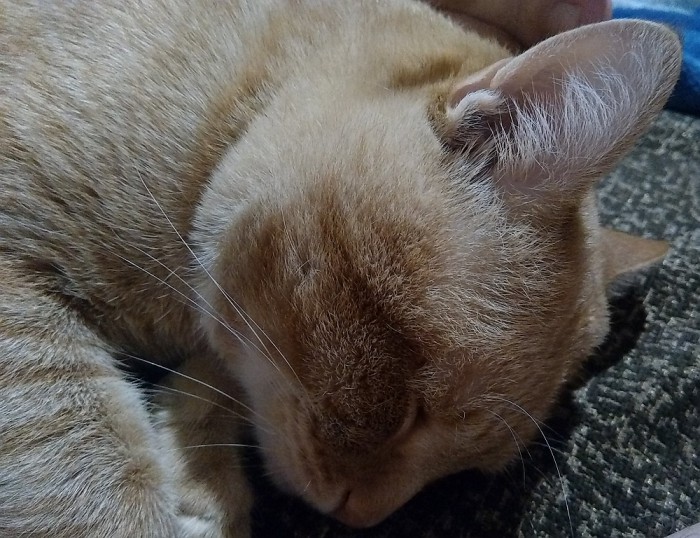 sized_IMG_20180613_220855.JPG