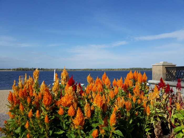 20180924_123806.jpg