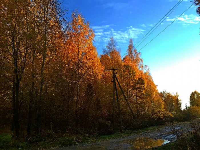05.jpg