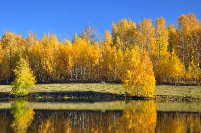 CSC_1020.jpg