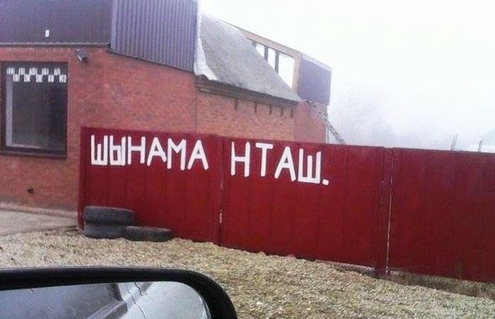 orig.jpg
