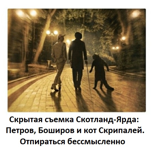 02.JPG