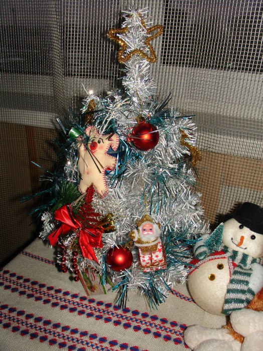 DSC02478.jpg