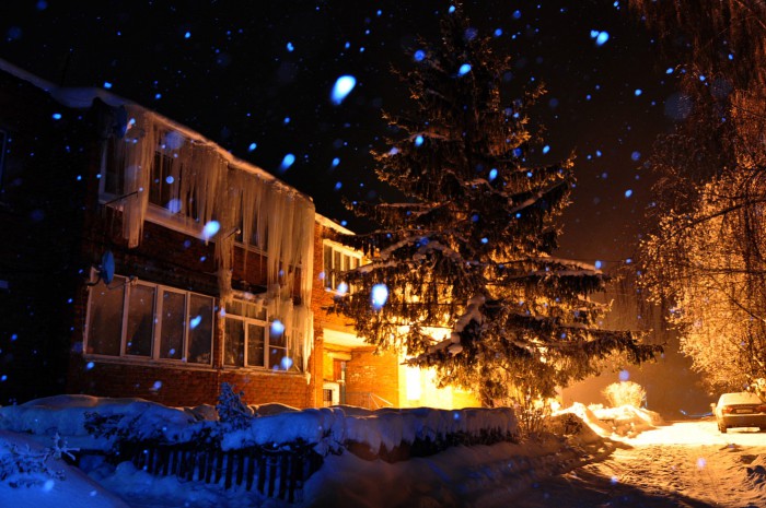 CSC_1195.jpg