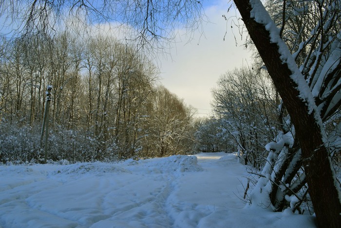08.jpg