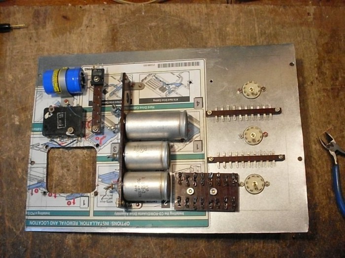 SDC14655.JPG