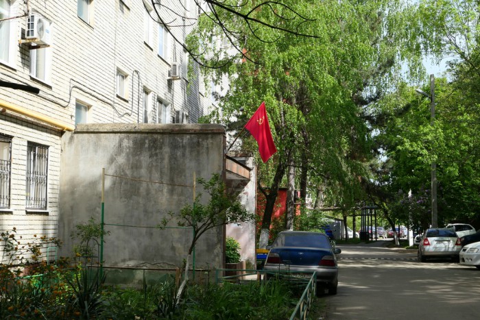 P1100477-001.JPG