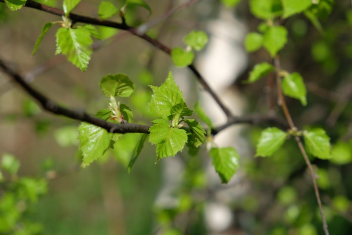 DSCF4589.JPG