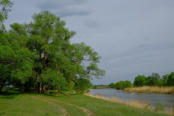 DSCF4798.JPG