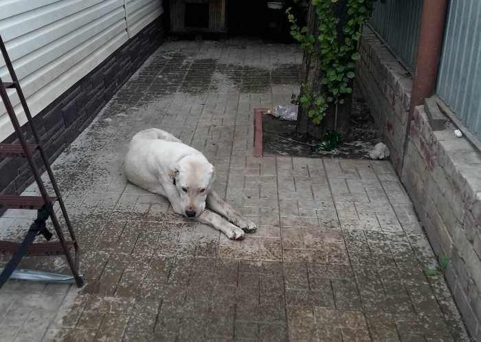 sized_20190619_164134.JPG