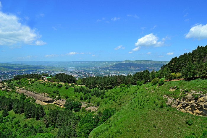 06.jpg