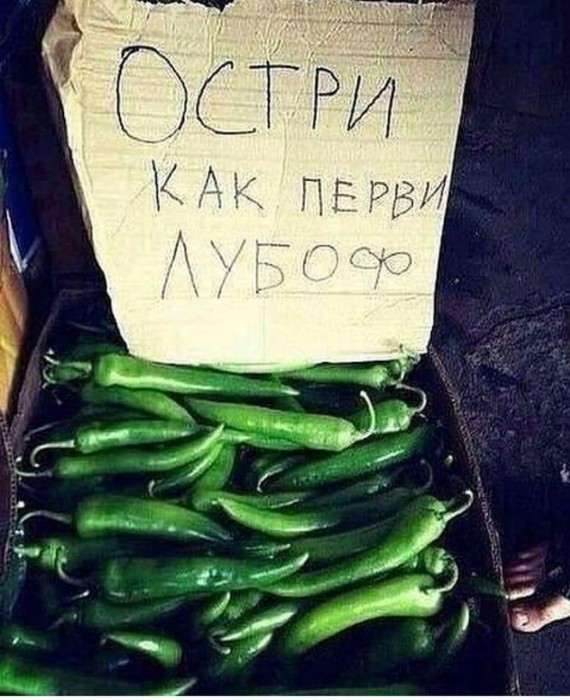 01.JPG
