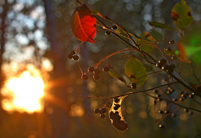 IMG_5150.jpg