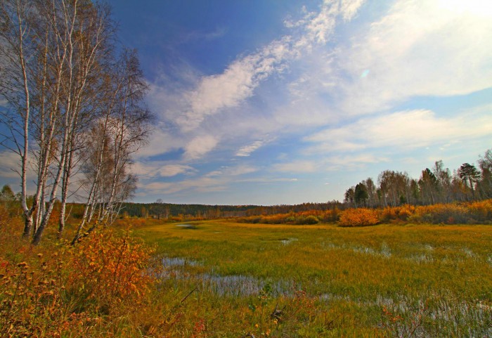 IMG_5288.jpg