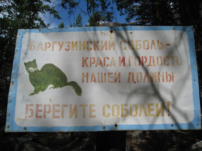 Алла 27.jpg
