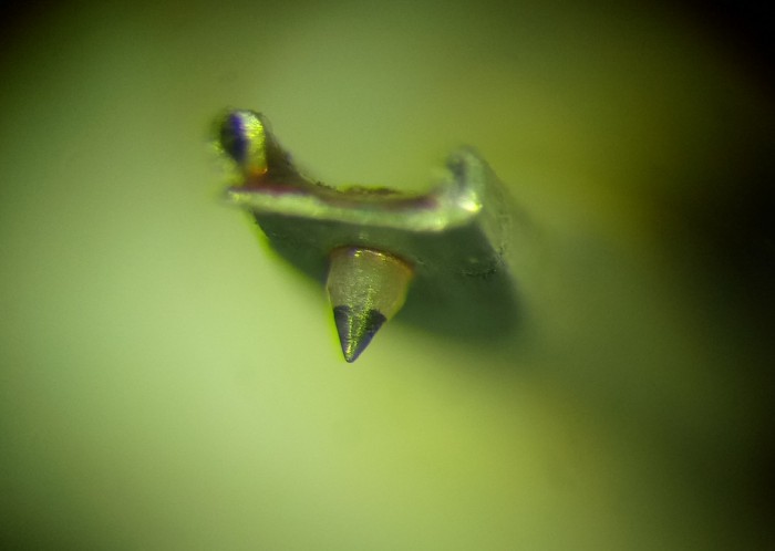 P91014-235732.jpg